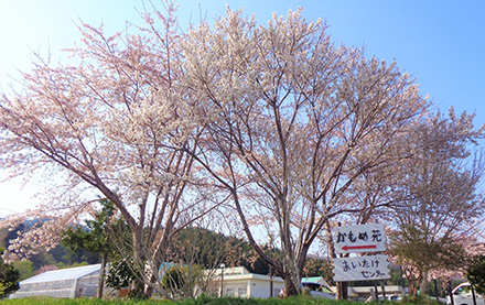 施設2施設2施設2施設2施設2施設2